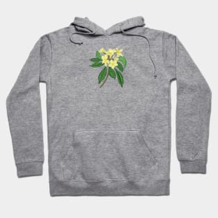 Frangipani Botanical Hoodie